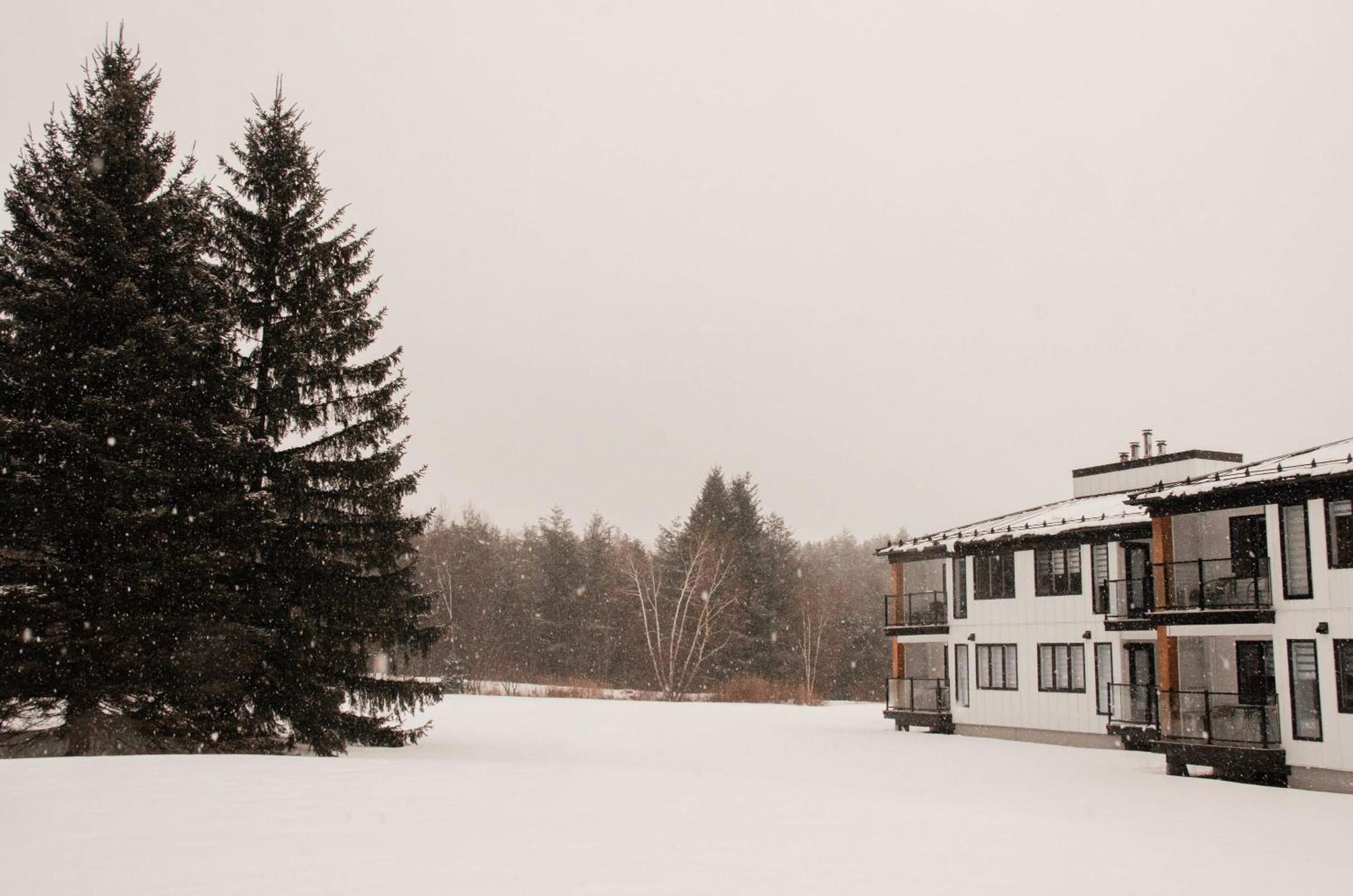 Suite 201 - Destination Mont-Orford Magog Eksteriør billede